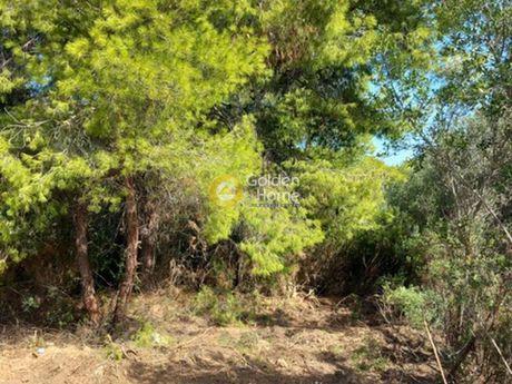 Οικόπεδο 609τ.μ. για πώληση-Ραφήνα » Κέντρο