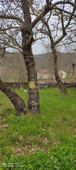 Detached home 53sqm for sale-Kalavrita » Skepasto