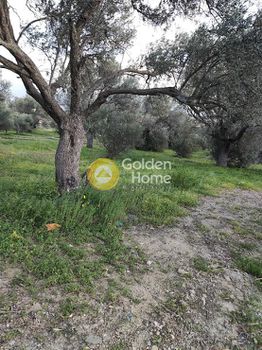 Parcel 5.026sqm for sale-Gortina » Agioi Deka