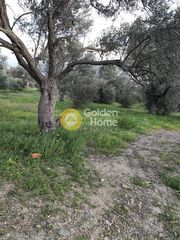 Αγροτεμάχια 5.026 τ.μ. για πώληση