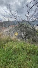 Οικόπεδο 982 τ.μ. για πώληση, Αχαΐα, Αιγείρα-thumb-1