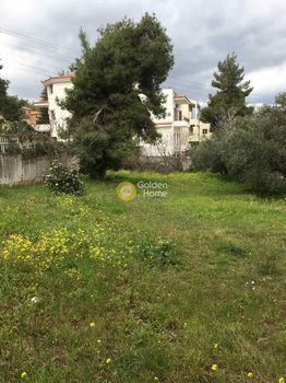 Οικόπεδο 702τ.μ. για πώληση-Δροσιά