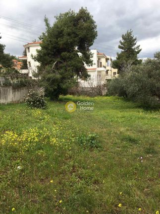 Land plot 702 sqm for sale, Athens - North, Drosia
