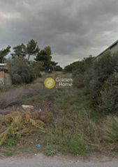 Αγροτεμάχια 2.500 τ.μ. για ενοικίαση, Αττική - Υπόλοιπο, Πικέρμι-thumb-1