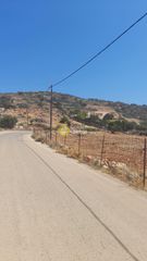 Οικόπεδο 25.000 τ.μ. για πώληση, Ν. Λασιθίου, Βραχάσι-thumb-2