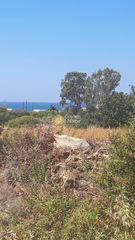 Οικόπεδο 25.000 τ.μ. για πώληση, Ν. Λασιθίου, Βραχάσι-thumb-1
