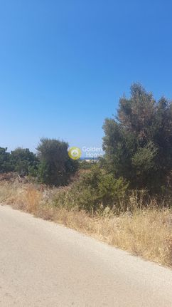 Land plot 25.000 sqm for sale, Lasithi Prefecture, Vrachasi