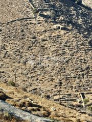 Αγροτεμάχια 35.735 τ.μ. για πώληση, Κυκλάδες, Κέα-thumb-7