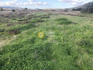 Οικόπεδο 11.635 τ.μ. για πώληση, Κυκλάδες, Πάρος-thumb-20