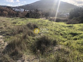 Οικόπεδο 11.635 τ.μ. για πώληση, Κυκλάδες, Πάρος-thumb-11