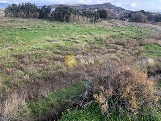 Οικόπεδο 11.635 τ.μ. για πώληση, Κυκλάδες, Πάρος-thumb-33