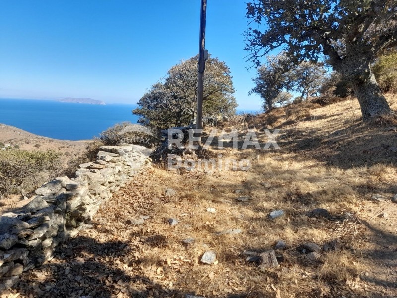 Αγροτεμάχια 25.306 τ.μ. προς πώληση, Πέρα Μεριά