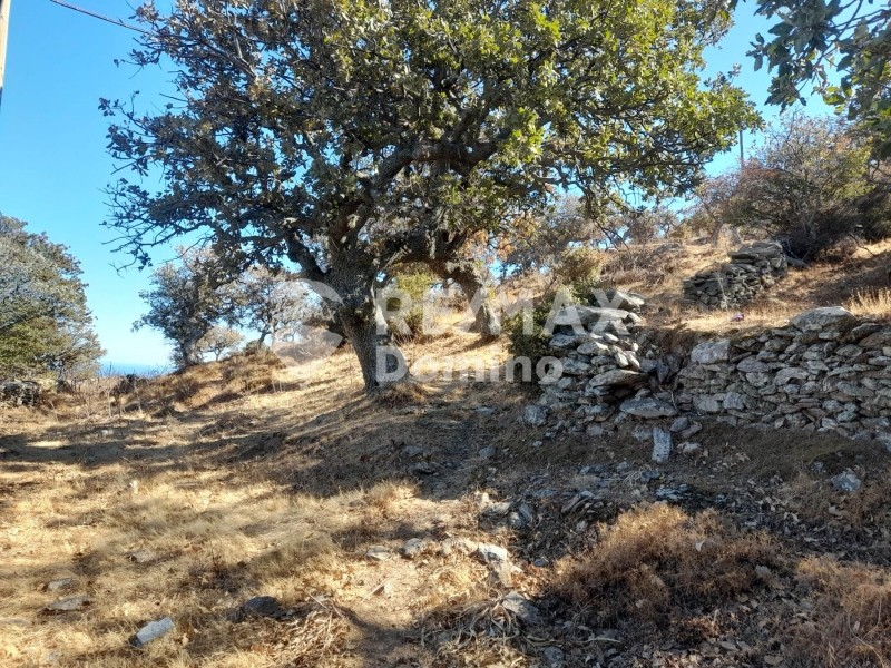 Αγροτεμάχια 25.306 τ.μ. προς πώληση, Πέρα Μεριά