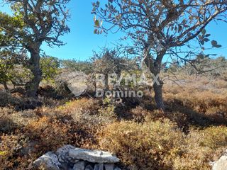 Αγροτεμάχια 4.046 τ.μ. για πώληση, Κυκλάδες, Κέα-thumb-5