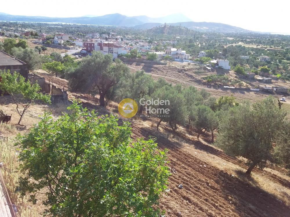 Οικόπεδο 6.100 τ.μ. προς πώληση, Εύβοια, Ληλάντιο