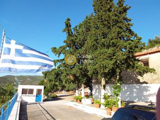 Οικόπεδο 6.100 τ.μ. για πώληση, Εύβοια, Ληλάντιο-thumb-4
