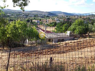Οικόπεδο 6.100 τ.μ. για πώληση, Εύβοια, Ληλάντιο-thumb-9