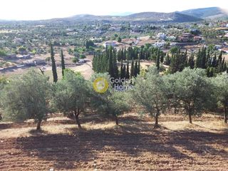 Οικόπεδο 6.100 τ.μ. για πώληση, Εύβοια, Ληλάντιο-thumb-2