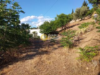 Οικόπεδο 6.100 τ.μ. για πώληση, Εύβοια, Ληλάντιο-thumb-10