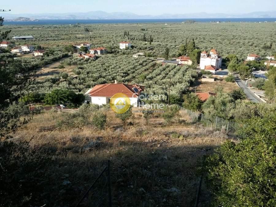 Οικόπεδο 924 τ.μ. προς πώληση, Αρκαδία, Βόρεια Κυνουρία