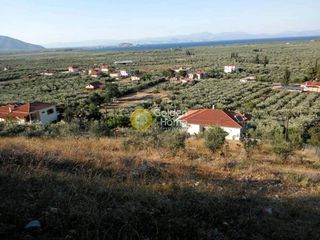 Οικόπεδο 924 τ.μ. προς πώληση, Κούτρουφα-thumb-3