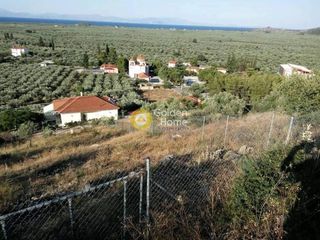 Οικόπεδο 924 τ.μ. προς πώληση, Κούτρουφα-thumb-1