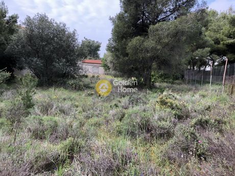 Οικόπεδο 1.050 τ.μ. για πώληση