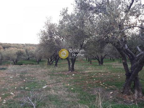 Parcel 4.751sqm for sale-Arkalochori » Roussochoria