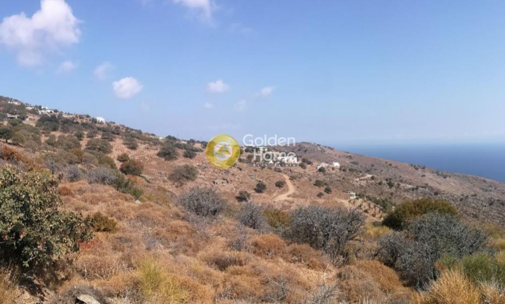 Αγροτεμάχια 4.000 τ.μ. προς πώληση, Όρκος
