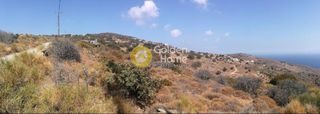 Αγροτεμάχια 4.000 τ.μ. για πώληση, Κυκλάδες, Κέα-thumb-6