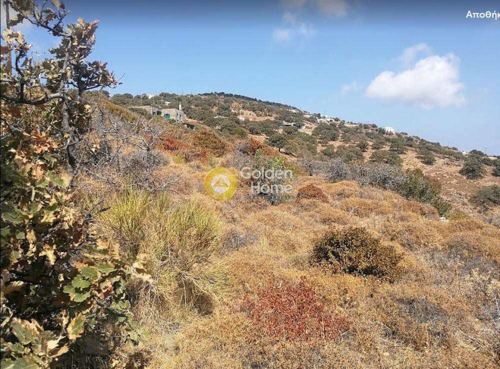 Αγροτεμάχια 4.000 τ.μ. προς πώληση, Όρκος
