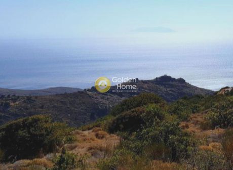 Αγροτεμάχια 4.000 τ.μ. για πώληση