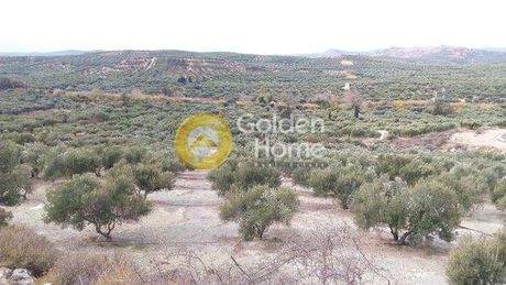 Land plot 13.803sqm for sale-Arkalochori » Kasanos