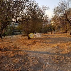 Οικόπεδο 1.300 τ.μ. για πώληση