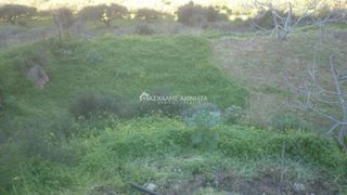 Οικόπεδο 4.500 τ.μ. για πώληση, Ν. Ηρακλείου, Γούβες-thumb-2