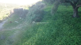 Οικόπεδο 4.500 τ.μ. για πώληση, Ν. Ηρακλείου, Γούβες-thumb-3