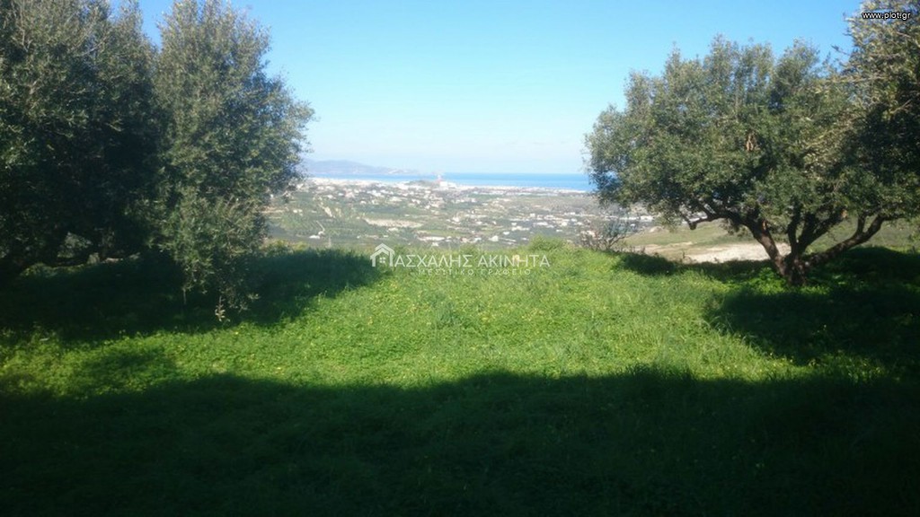 Οικόπεδο 4.500 τ.μ. προς πώληση, Ελιά Γουβών