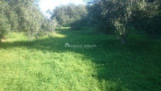 Οικόπεδο 4.500 τ.μ. για πώληση, Ν. Ηρακλείου, Γούβες-thumb-6