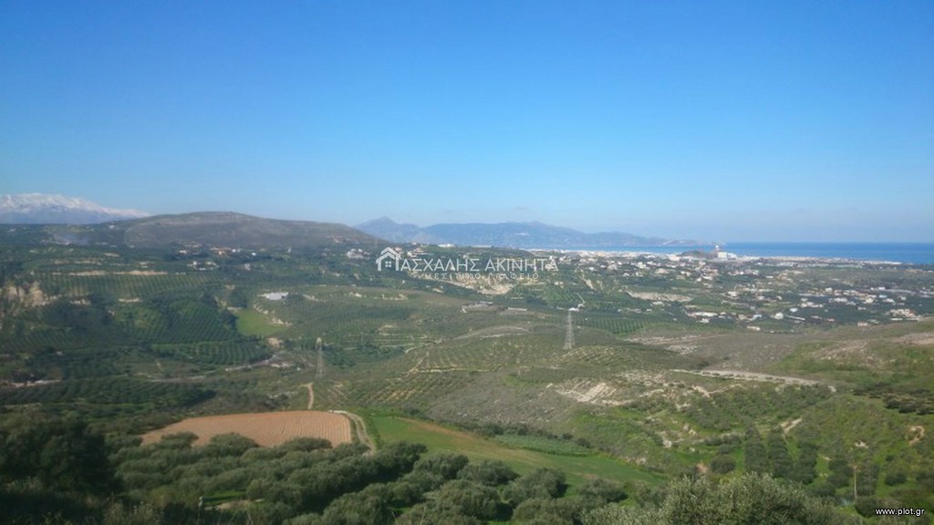 Οικόπεδο 5.500 τ.μ. προς πώληση, Ελιά Γουβών