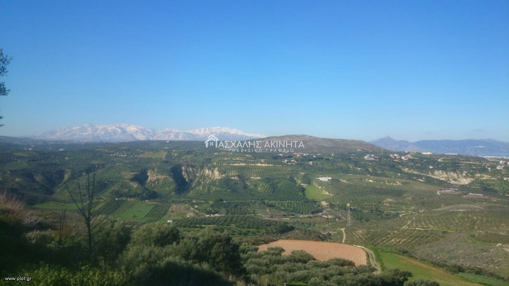 Οικόπεδο 5.500 τ.μ. προς πώληση, Ελιά Γουβών