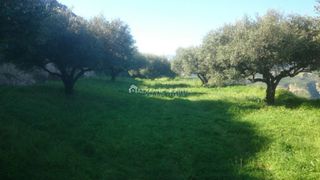 Οικόπεδο 5.500 τ.μ. για πώληση, Ν. Ηρακλείου, Γούβες-thumb-3