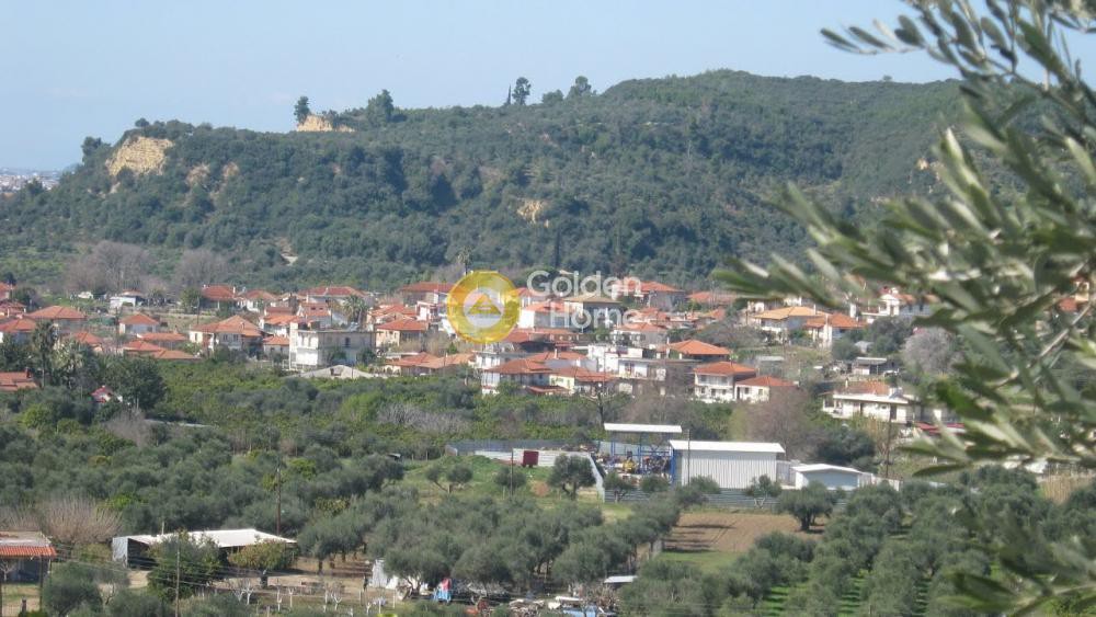Αγροτεμάχια 13.000 τ.μ. προς πώληση, Αλφειός