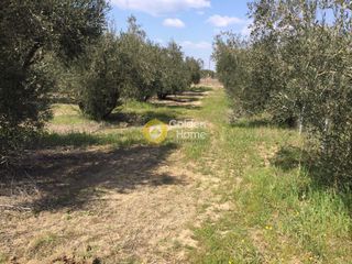 Οικόπεδο 332 τ.μ. για πώληση