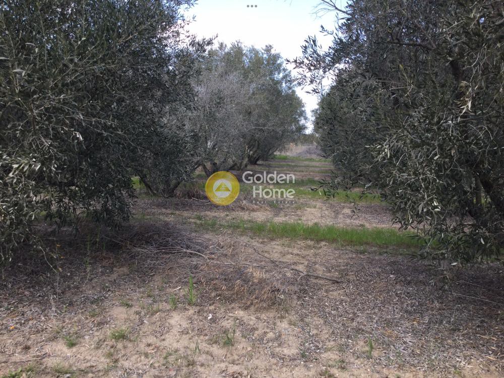Οικόπεδο 332 τ.μ. προς πώληση, Νέα Ηράκλεια