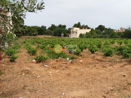 Οικόπεδο 1.462τ.μ. για πώληση-Σπάτα » Κέντρο
