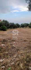Οικόπεδο 1.010 τ.μ. για πώληση
