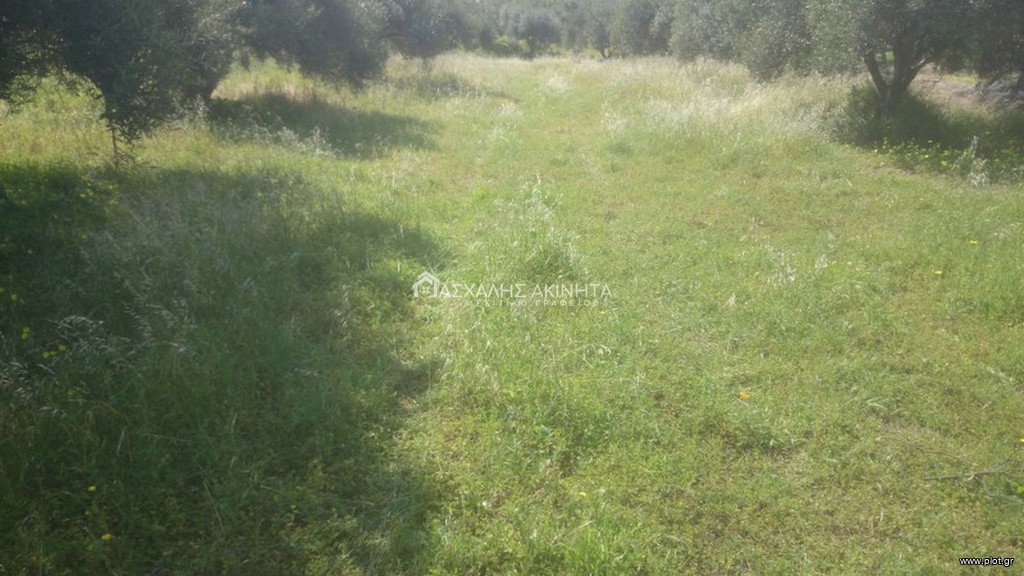 Οικόπεδο 1.000 τ.μ. προς πώληση, Χάνι Κοκκίνη