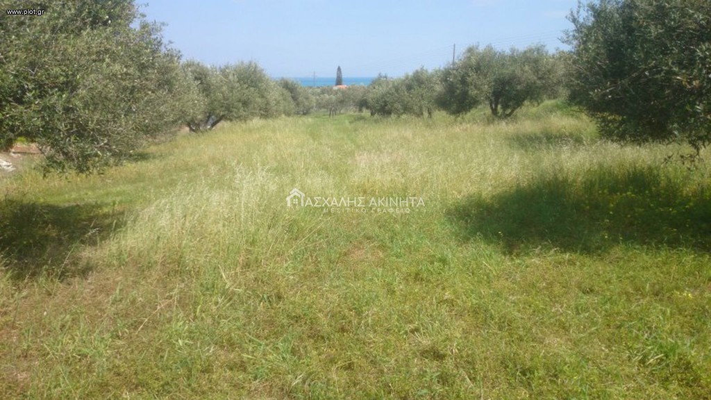 Οικόπεδο 1.000 τ.μ. προς πώληση, Χάνι Κοκκίνη