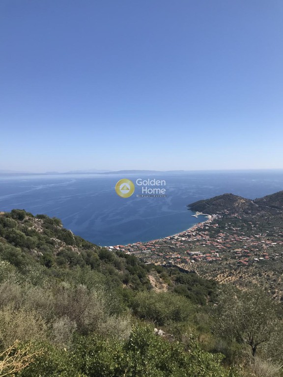 Αγροτεμάχια 4.320 τ.μ. προς πώληση, Παραλία Τυρού