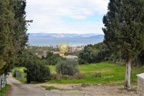 Οικόπεδο 13.000 τ.μ. για πώληση